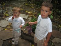 мисхор наш двор.jpg