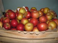 IMG_4082.jpg