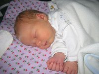 IMG_6850.JPG