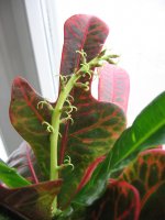 IMG_5044.jpg