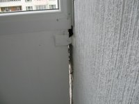 IMG_5300.jpg