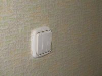 IMG_5314.jpg