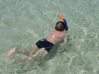 IMG_5918.jpg