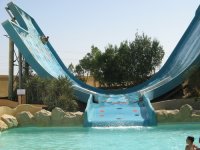 IMG_6275.jpg