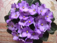 PICT0109.jpg