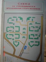 DSC00069.jpg