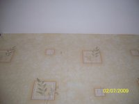 06 - Рыжие пятна на обоях.JPG