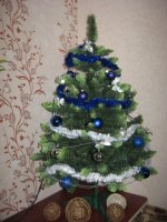 IMG_3087.jpg