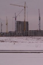 IMAG0104.jpg