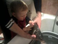 2011-12-28 18.31.02.jpg