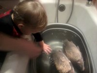 2011-12-28 18.32.43.jpg