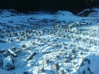 DSC01069.JPG