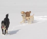 IMG_0027+.jpg