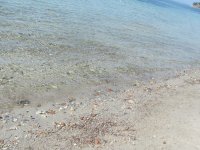 IMG_4787.jpg