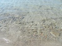 IMG_4788.jpg