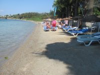 IMG_4790.jpg