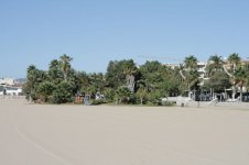 IMG_0736.jpg