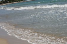 IMG_0754.jpg