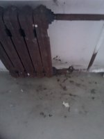 IMG_20120118_100238.jpg
