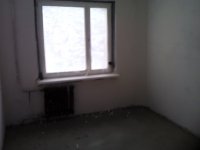 IMG_20120118_100344.jpg