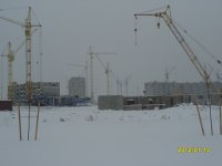 S1051108.JPG