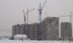 IMAG0129.jpg