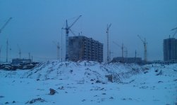 IMAG0131.jpg