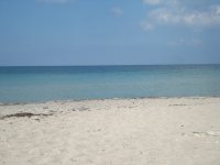 DSC03138.JPG
