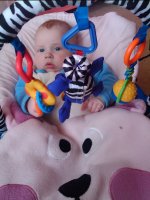 Копия 2012-01-20 15.05.42.jpg