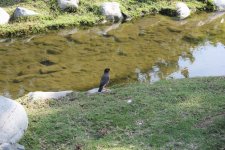 IMG_0112.jpg