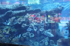 IMG_0178.jpg