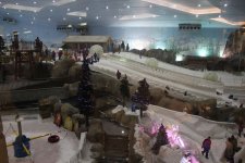 IMG_0210.jpg