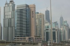 IMG_0446.jpg