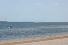 IMG_0511.jpg