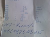 IMAG0331.jpg