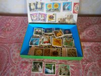 012 уменьш.JPG