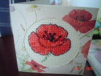 DSC03414.JPG