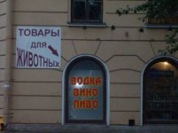 магаз.jpeg