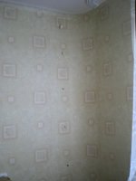 DSCN4080.JPG