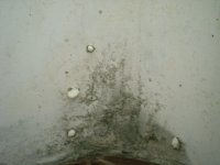 DSCN4083.JPG