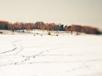 DSC_8966-мал.jpg