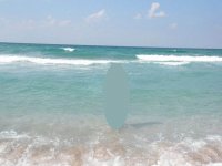море.jpg
