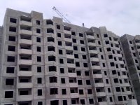 25022012575.jpg