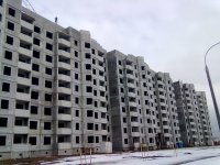 25022012576.jpg