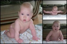 2012-02-27 сжатый.jpg