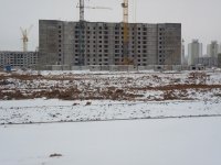 P1000313-1.JPG
