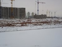 P1000314-2.JPG