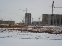 P1000315-3.JPG