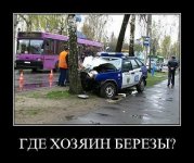 getImage61.jpg