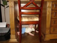 Изображение 470-2.jpg